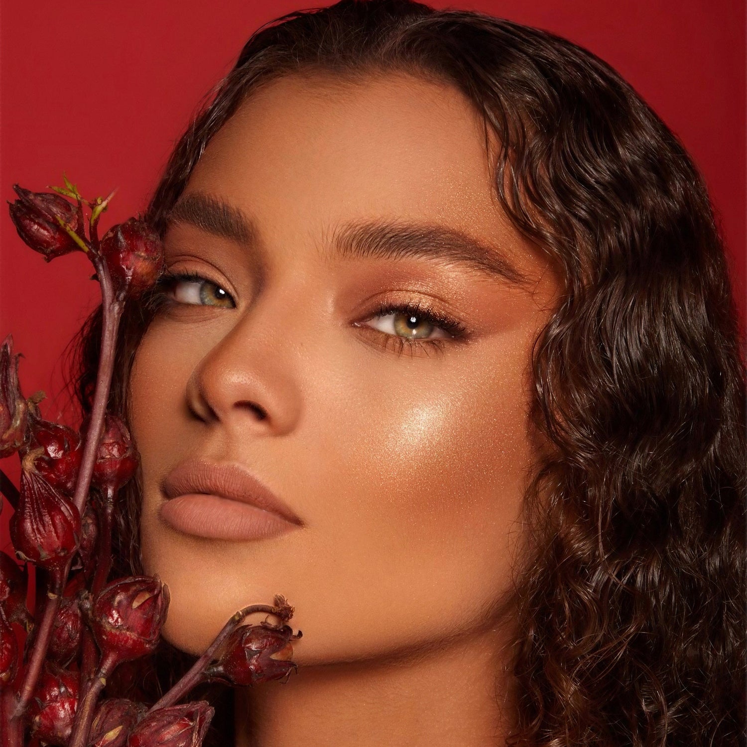 أحمر الخدود أحادي اللون